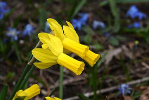 2025-04216455 Tower Hill Botanic Garden, MA